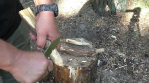 Нож FORWARD PF-818 Petrified Fish. Уличный тест