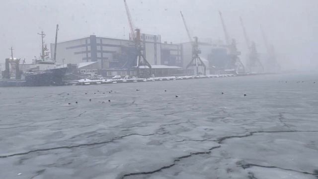 Как проводят выходные на Камчатке | Обычный полдник Камчадала | Чайка готова к выходу в Тихий Океан смотреть онлайн