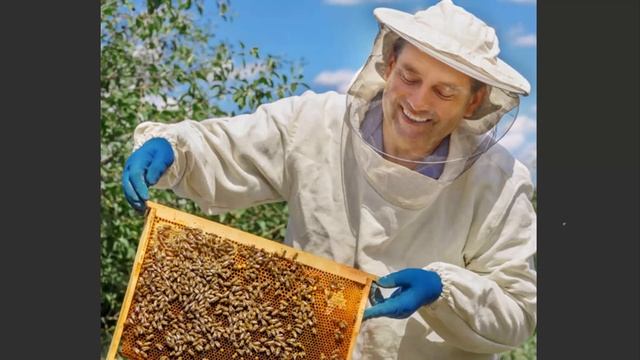 С. А. ПОПРАВКО О ЗАЩИТНЫХ СВОЙСТВАХ ПЧЕЛОПРОДУКЦИИ смотреть онлайн