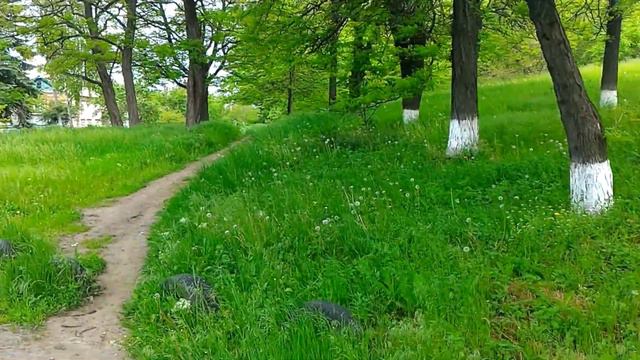 ВЛОГ. КОЗА, СЛОВО О ПОЛКУ..., ХЕЙТЕРЫ И ЧТО МНЕ ОТКРЫЛ ЮТУБ смотреть онлайн