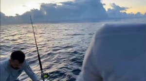 Опасная Рыбалка в Океане! Ночь в Океане! Не Каждый Сможет!