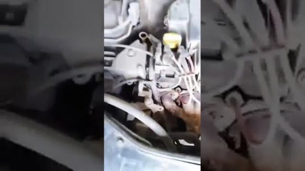 Стук двигателя Renault Symbol k7j