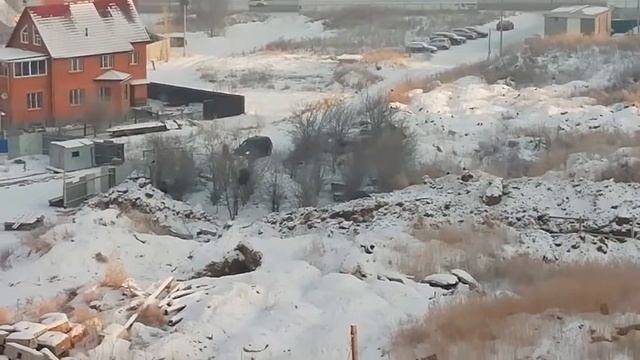 Новейшая дог-опекунша - кормежка бродячих псов - 2018-12-06 - 13:30 смотреть онлайн