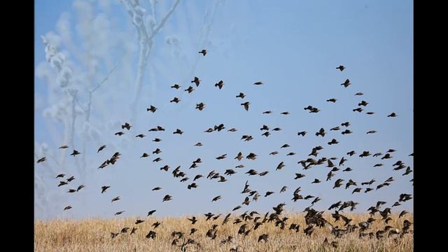 Алтайский календарь.Весна смотреть онлайн