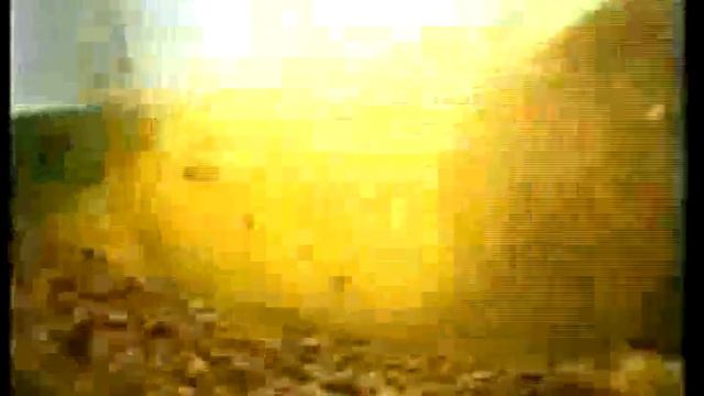 Colin McRae смотреть онлайн