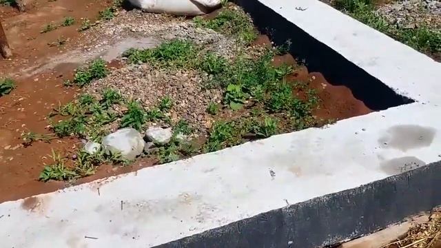 С вами Сергей Величко. смотреть онлайн