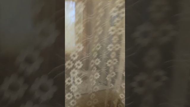 Маленькая квартира-студия 15 кв.метров смотреть онлайн