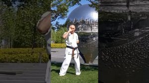 Киокушинкай. Авторская песня. Сделай выбор - занимайся Киокушинкай!