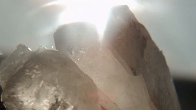 ARMANI PRIVE MUSC SHAMAL