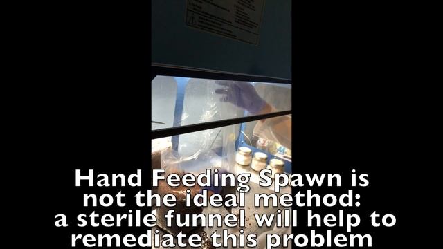 Making Shiitake Logs: Myco Experiment by Fresh from the Farm Fungi "Shiitake Tek" смотреть онлайн