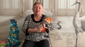 «волшебное лекарство» СКАЗКА НА НОЧЬ ДЛЯ ДЕТЕЙ! От бабы Иры! «волшебное лекарство»
