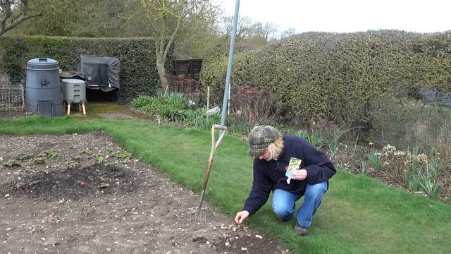 How to Sow Limnanthes смотреть онлайн