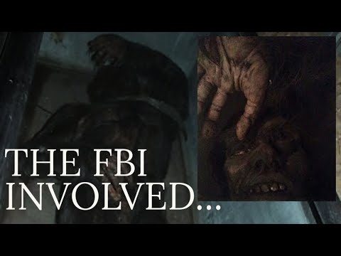 POSSIBLE REAL BIGFOOT BODY ON DISPLAY смотреть онлайн