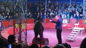 Цирк ШАПИТО Малаховка