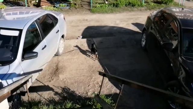 Мы запускаем бумеранги смотреть онлайн