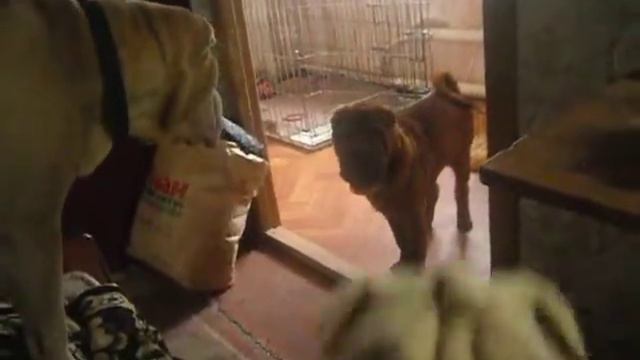 SAM 9132 смотреть онлайн