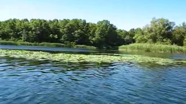 Днепр, Корсунка, 2010 смотреть онлайн