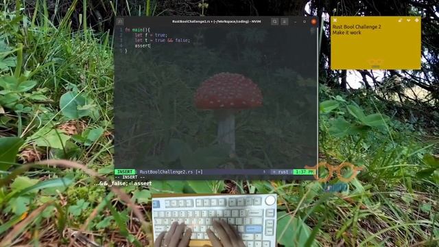 Learning Rust Programming - Bool - Challenge 2 | ASMR Coding смотреть онлайн