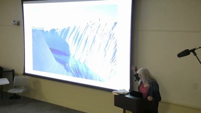 Author Talk: Erica Ferencik смотреть онлайн