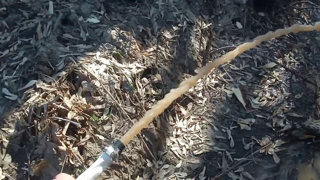 Порадовал девчонок в магазине :) Абиссинка 2100 литров смотреть онлайн