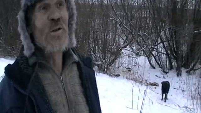 Стадо Баранов как природное явление! смотреть онлайн