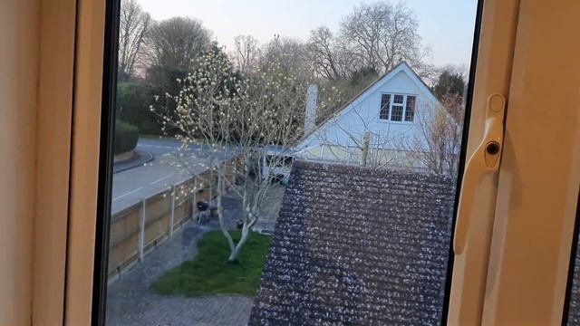 Cookworks Blender Show смотреть онлайн