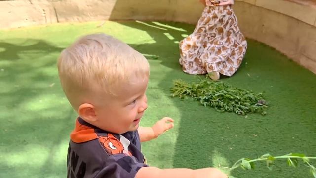 Диана, Рома и Оливер кормят животных в зоопарке смотреть онлайн