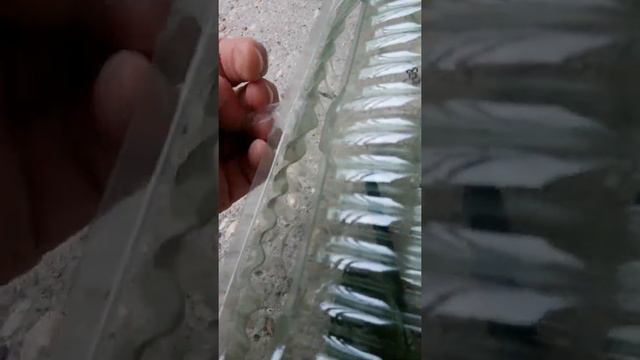 unpacking alocasia scalprum смотреть онлайн