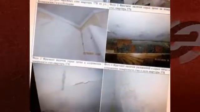 Комплексная экспертиза МБЭКС смотреть онлайн