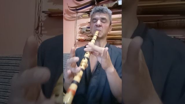 Органный пимак против сякухати. смотреть онлайн