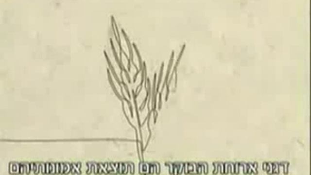 Кукурузные хлопья смотреть онлайн
