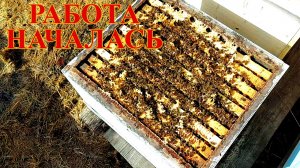 Помощь голодающим пчелосемьям весной/утепление ульев пленкой