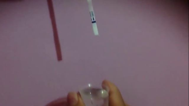 TEST FOR PREGNANCY