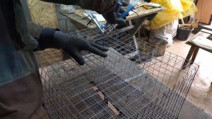 Делаем клетки для переноски птиц