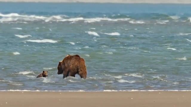 Балакхилья дас ~ Покой смотреть онлайн