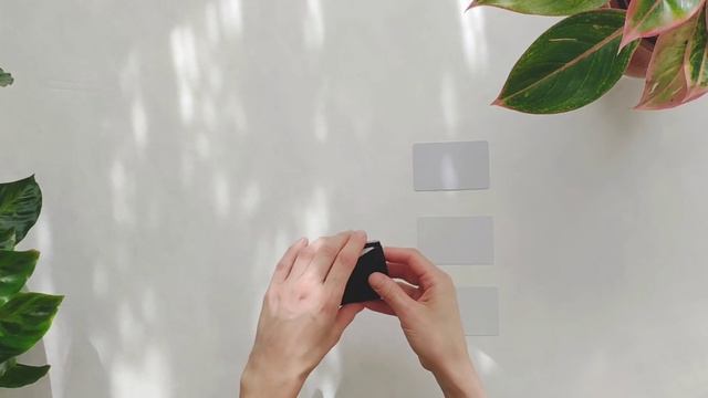 Кардхолдер SOWA из материала Тайвек/ SOWA cardholder made of Tyvek смотреть онлайн