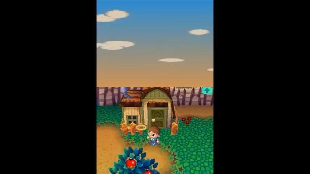 Animal Crossing: Wild World Playthrough Part 1 смотреть онлайн