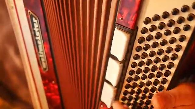 Akkordeon Weltmeister 96 Bass zu verkaufen, Top Zustand смотреть онлайн