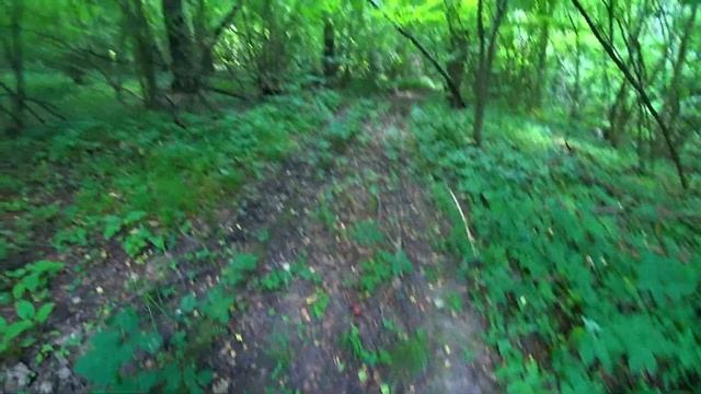 ГЛАЗА НА ЛОБ ПОЛЕЗЛИ от ТАКОГО количества ГРИБОВ! Грибы полянами в июле 2022! Лисички, дубовики! смотреть онлайн