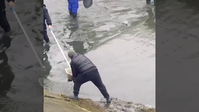 Рыбалка сачками смотреть онлайн