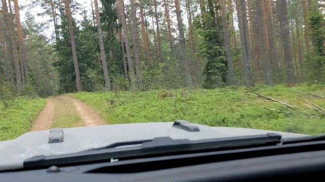 Топляки. Мифы и Реальность смотреть онлайн