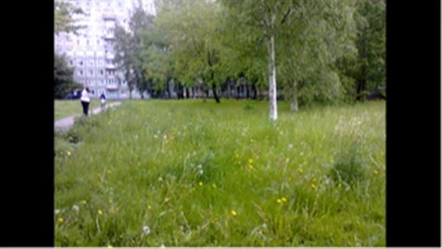 27. Бог вокруг нас. Мои фото 2 часть смотреть онлайн