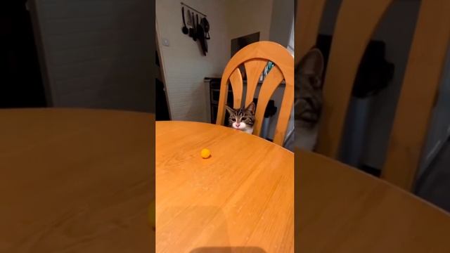 Как я получаю зарплату смотреть онлайн