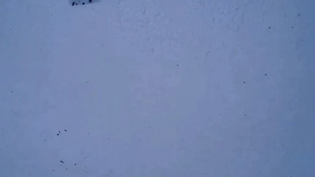 Карпинск. Краткий обзор города и его достопримечательности. смотреть онлайн