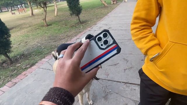 Meet Our New Australian Friend !! Talking In Punjabi ?? смотреть онлайн