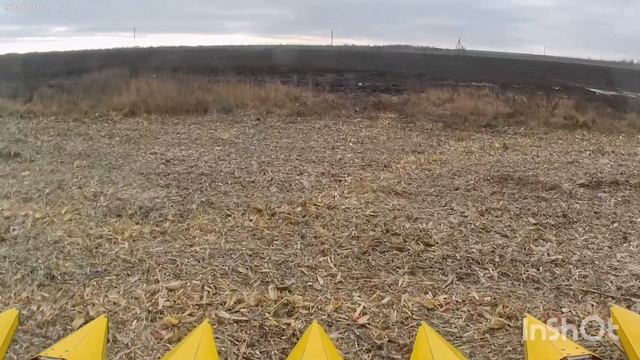 Уборка кукурузы (сезон 2023)