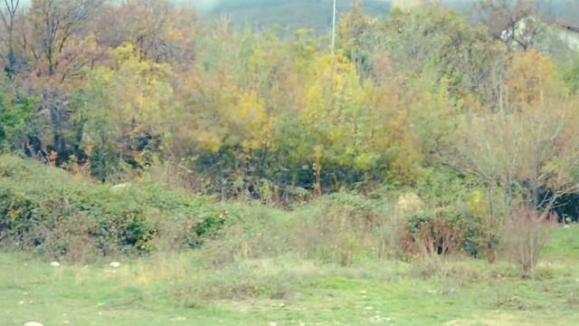 Лошадка и осень в горах. смотреть онлайн