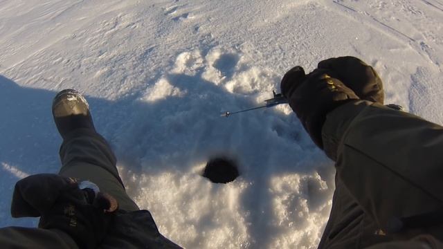 Ловля окуня на зимнюю блесну. Blue Fox Bergman - уловистая блесна на окуня. смотреть онлайн