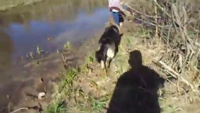 Прогулка. На велосипеде, в лесу, к озеру Иремель, челябинская область, посёлок Ленинск смотреть онлайн