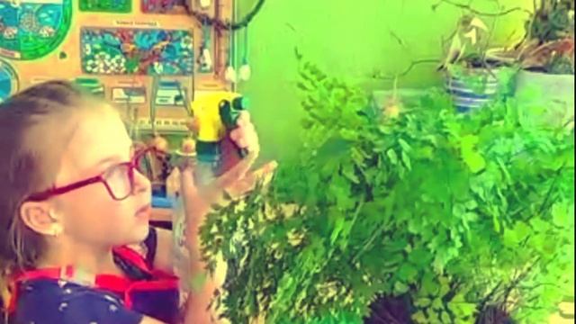 Уголок природы в средней группе №12 смотреть онлайн